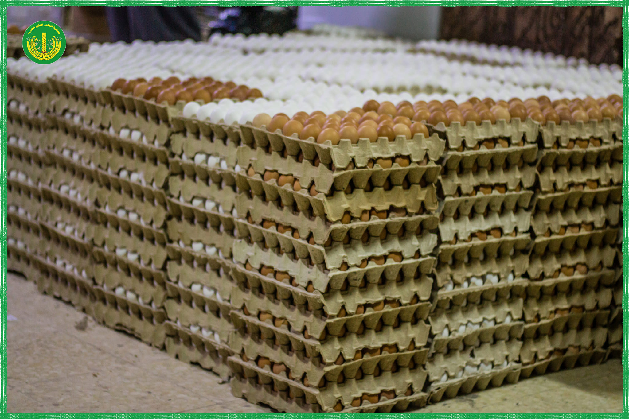 توزيع المساعدات المالية والعينية للشهر السادس